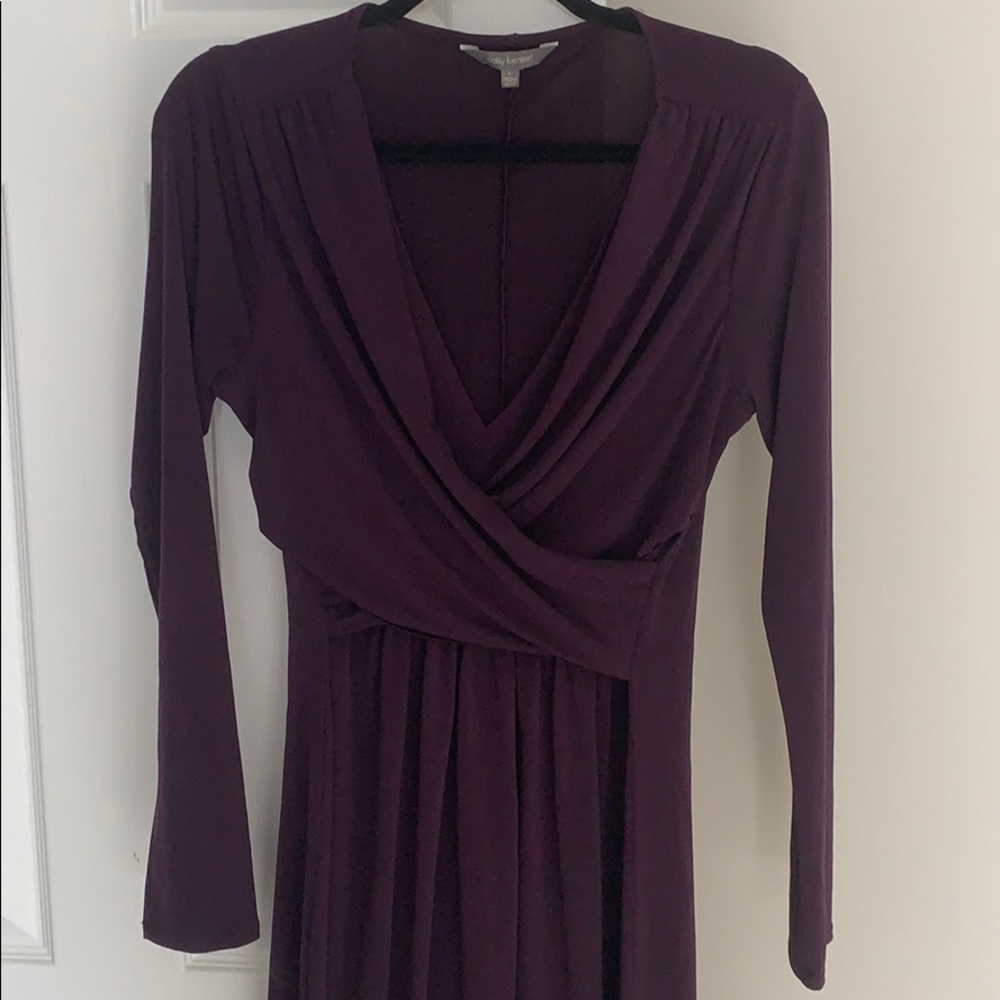 Dark Plum Daisy Fuentes Dress